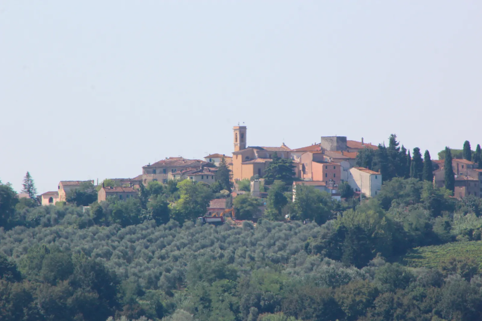 Ghizzano sull’altura, circondato dagli oliveti e dai vigneti delle colline della Valdera