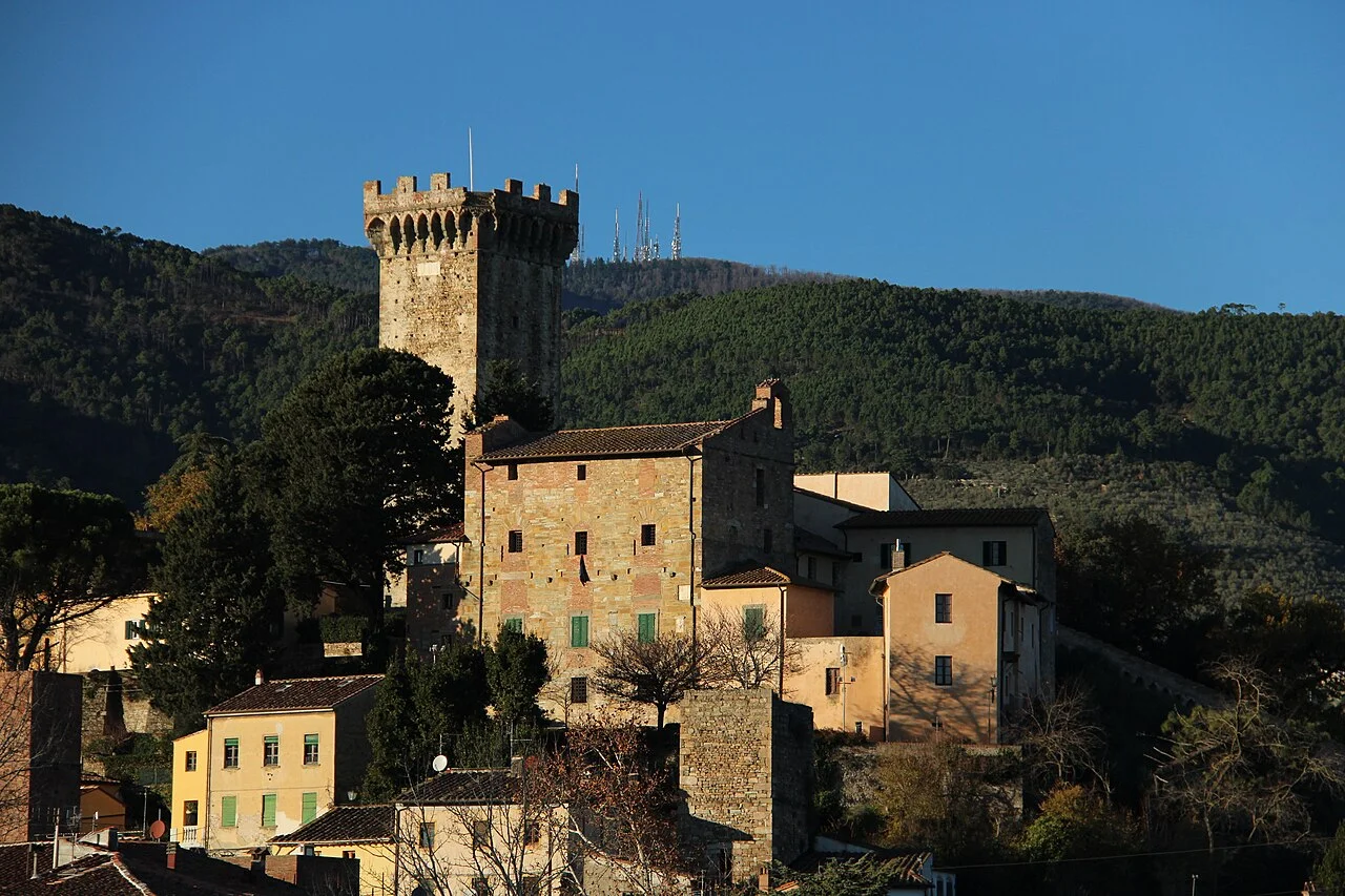 Vicopisano con la torre del Soccorso e le case in pietra sulla collina boscosa